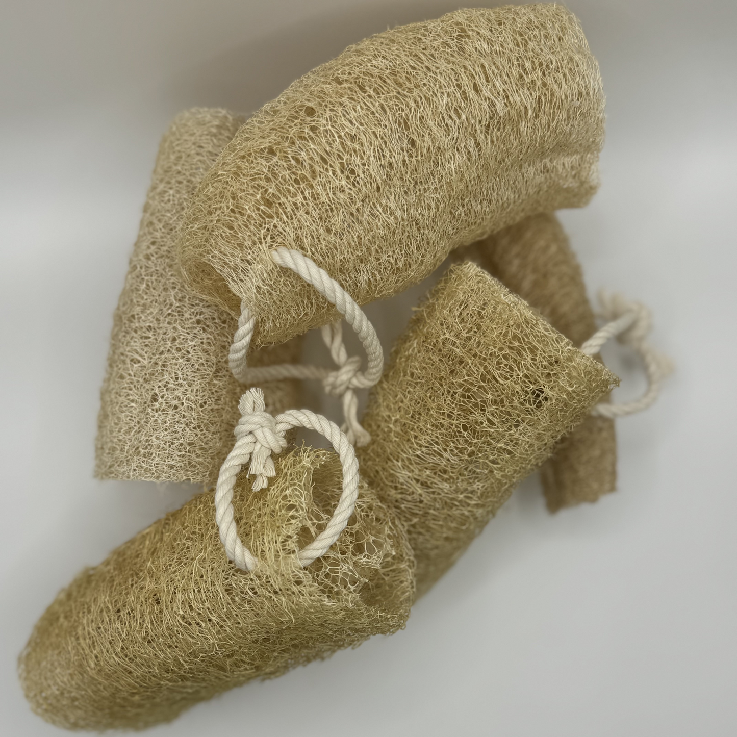 loofah sponge